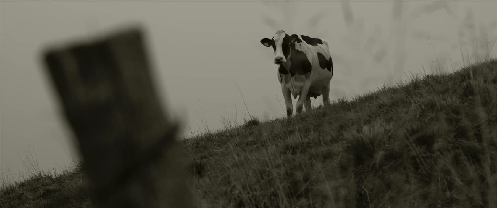 Frame from La strada di Podestaria film