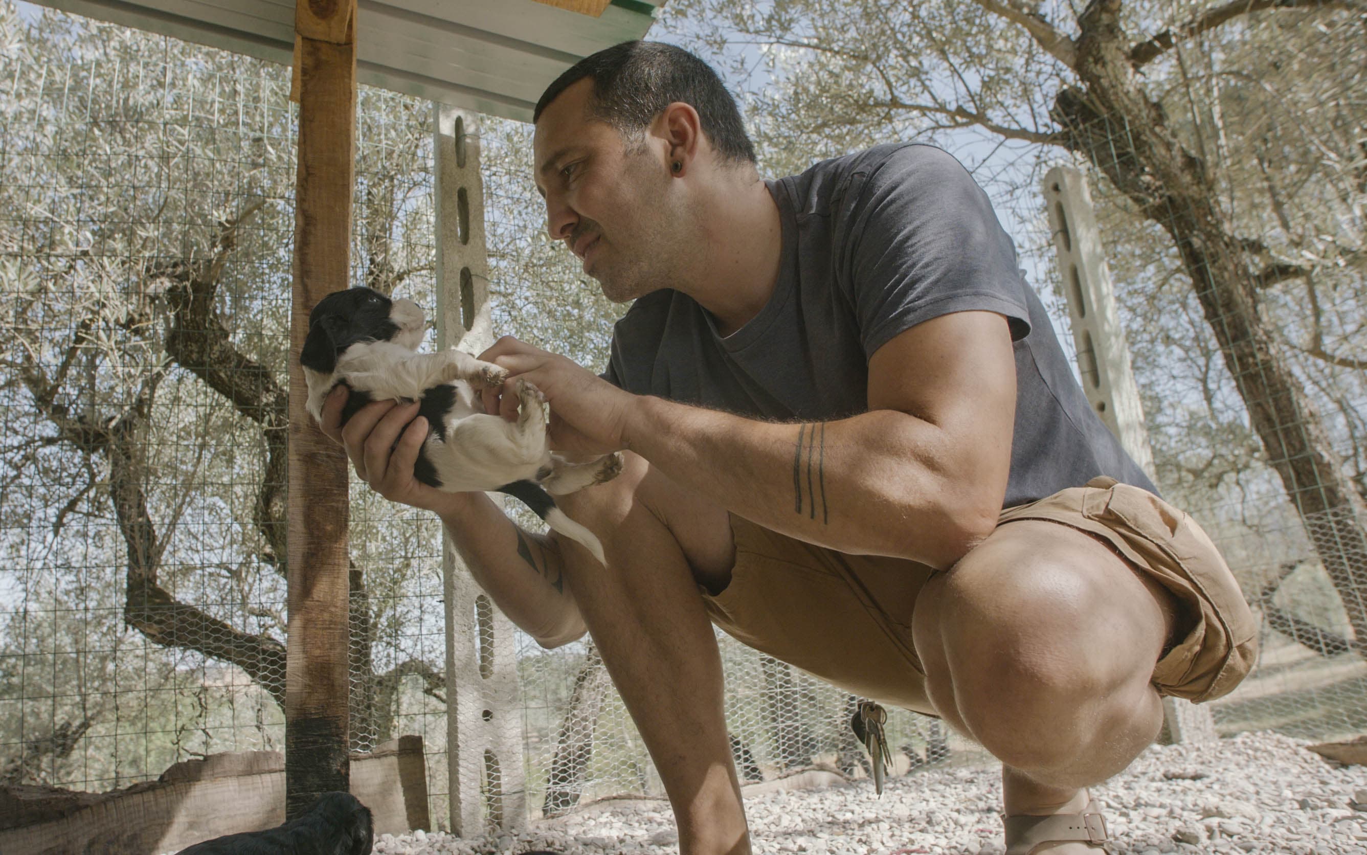 Frame from il profumo della terra film