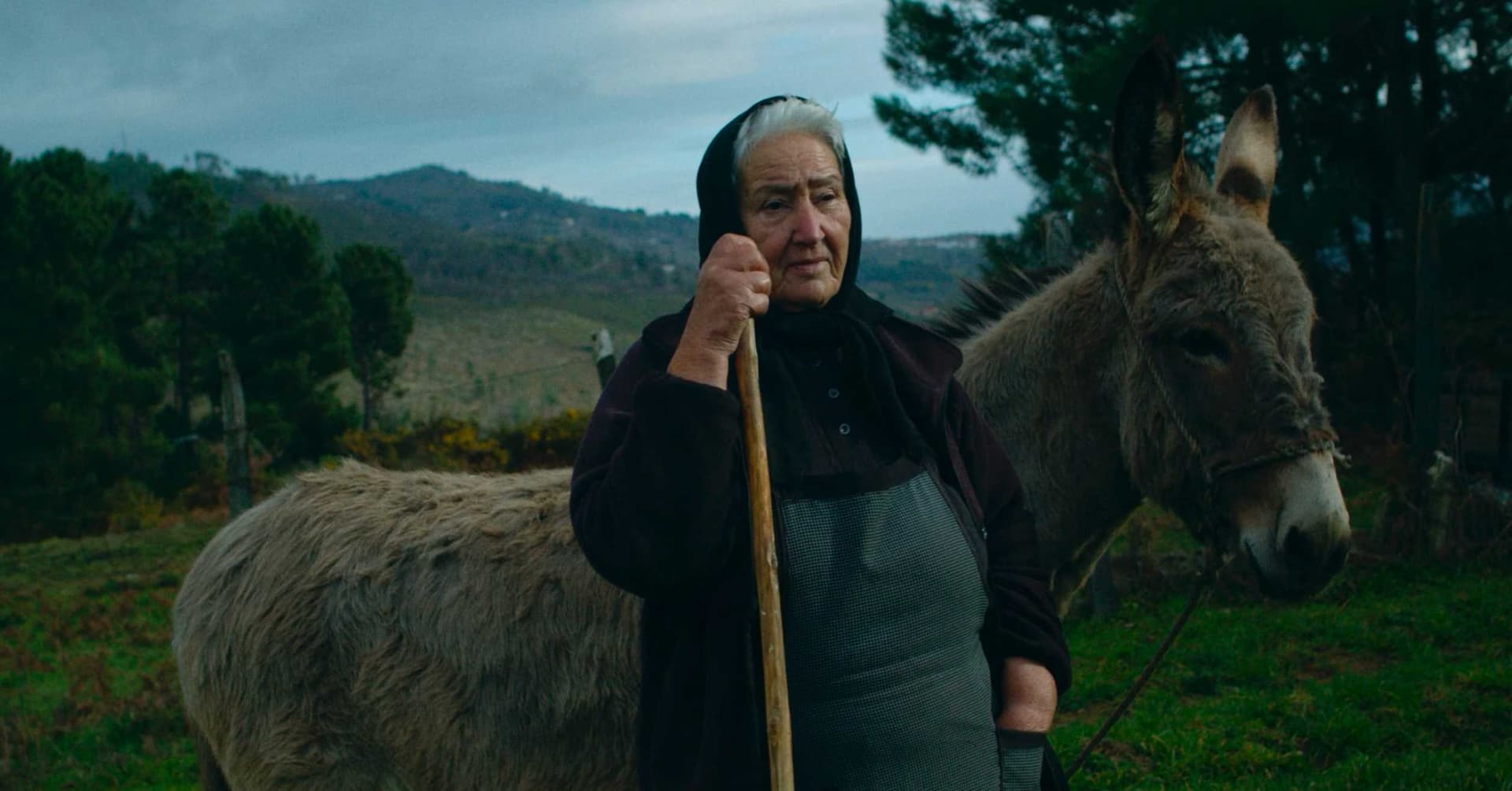 Frame from O Diabo do Entrudo film