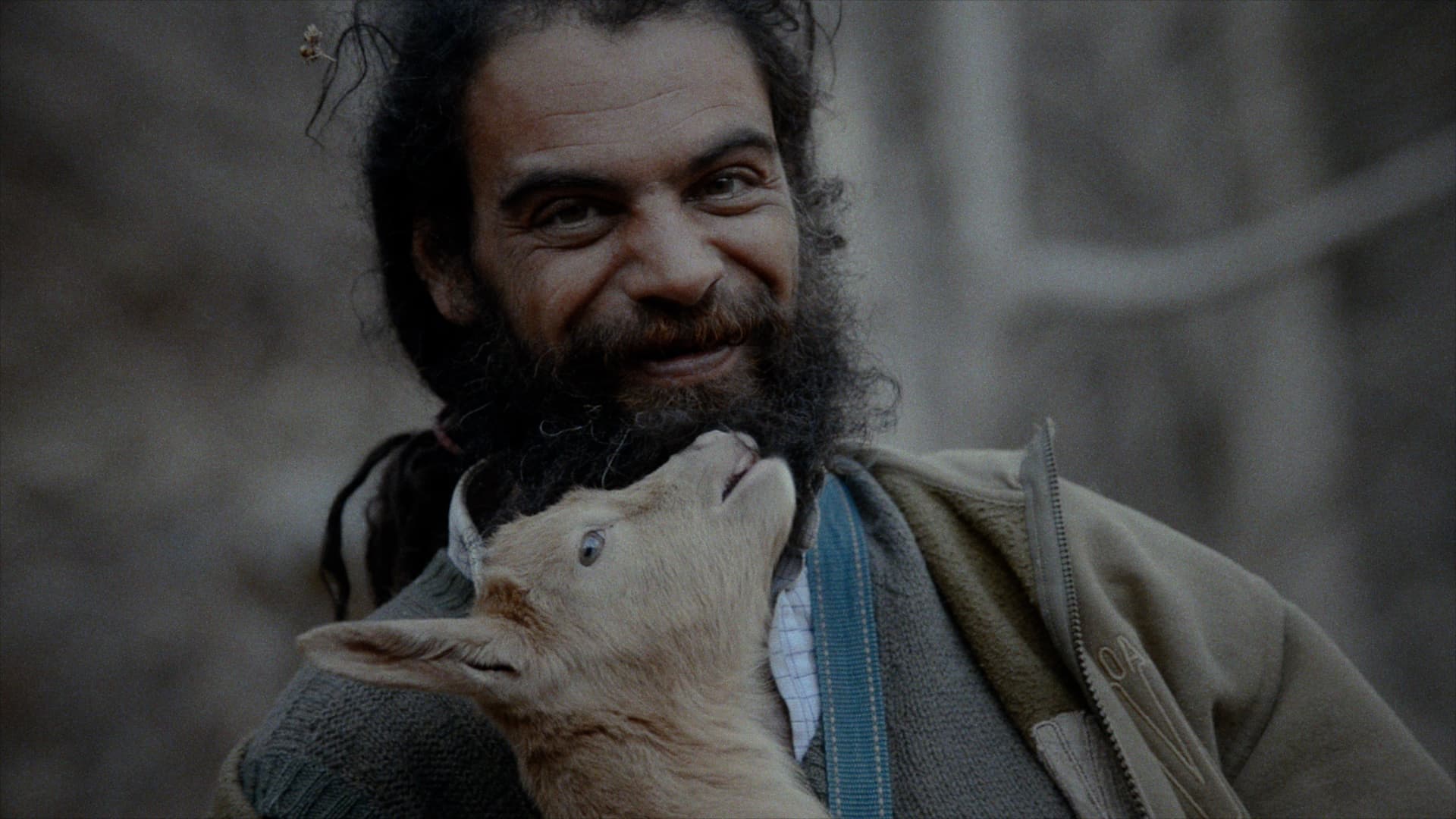 Frame from Homo Humilis film