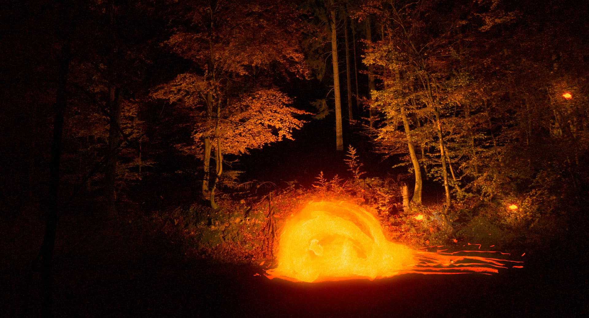 Frame from Saarvocado film