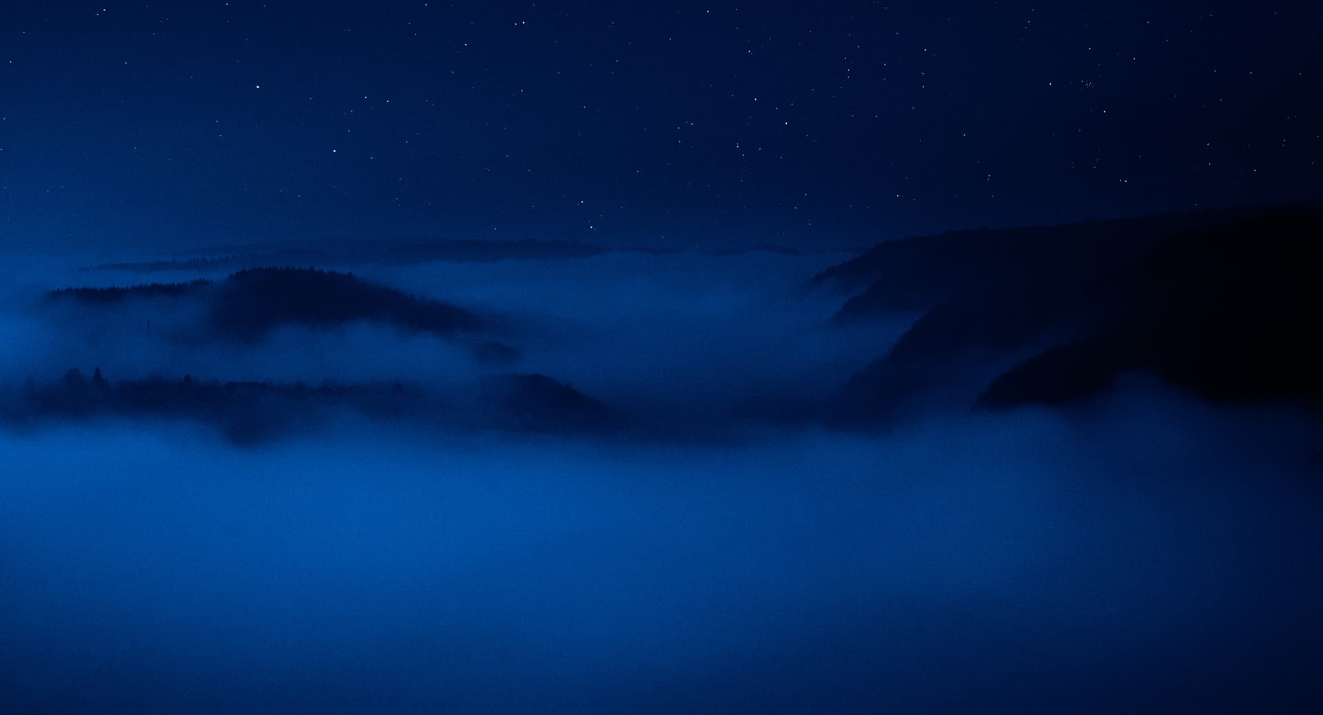 Frame from Saarvocado film