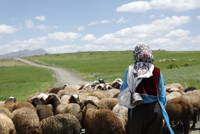 Frame from Dasht Mikhanad film