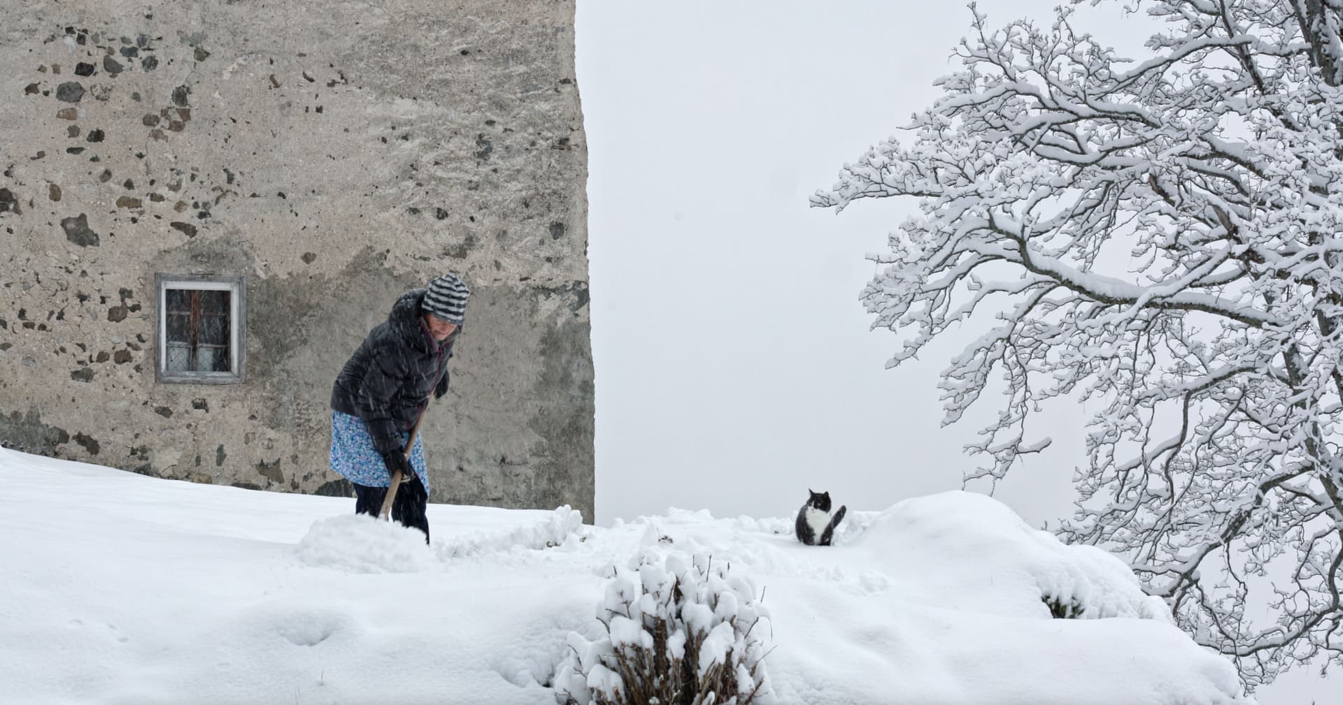 Frame from Talis Mater film