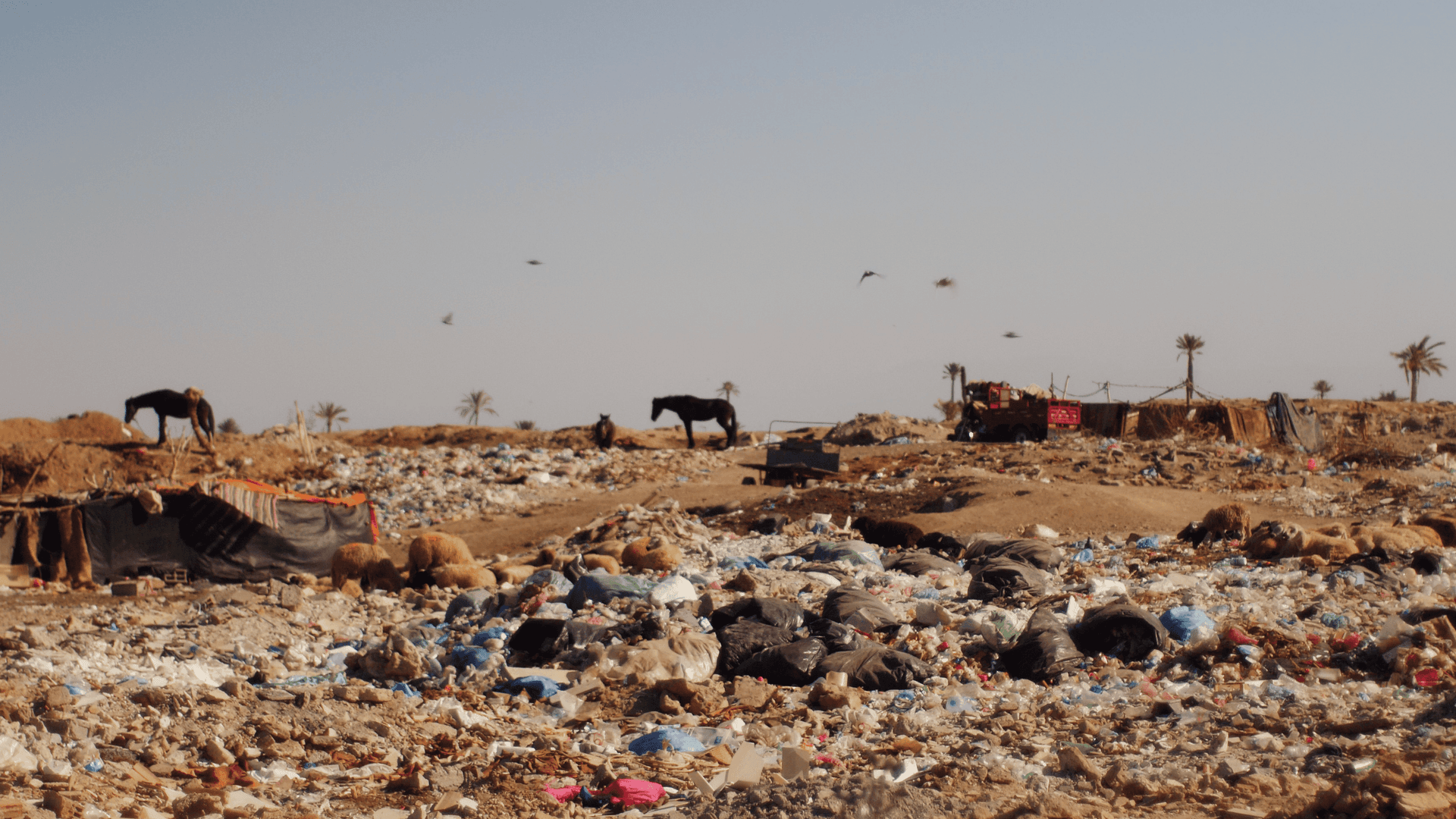Frame from IL PERICOLO CHE SALVA film