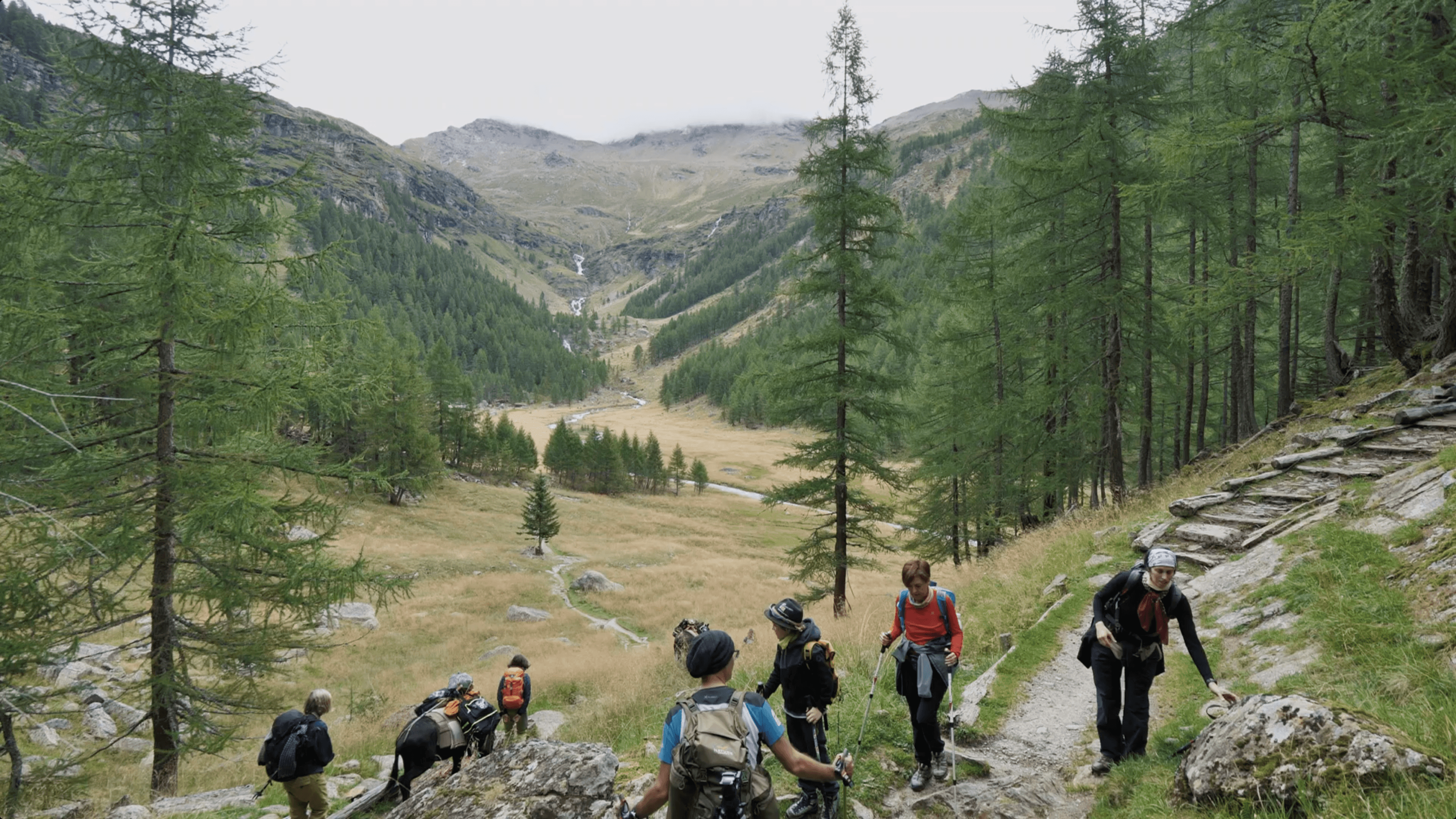 Frame from Sui sentieri film