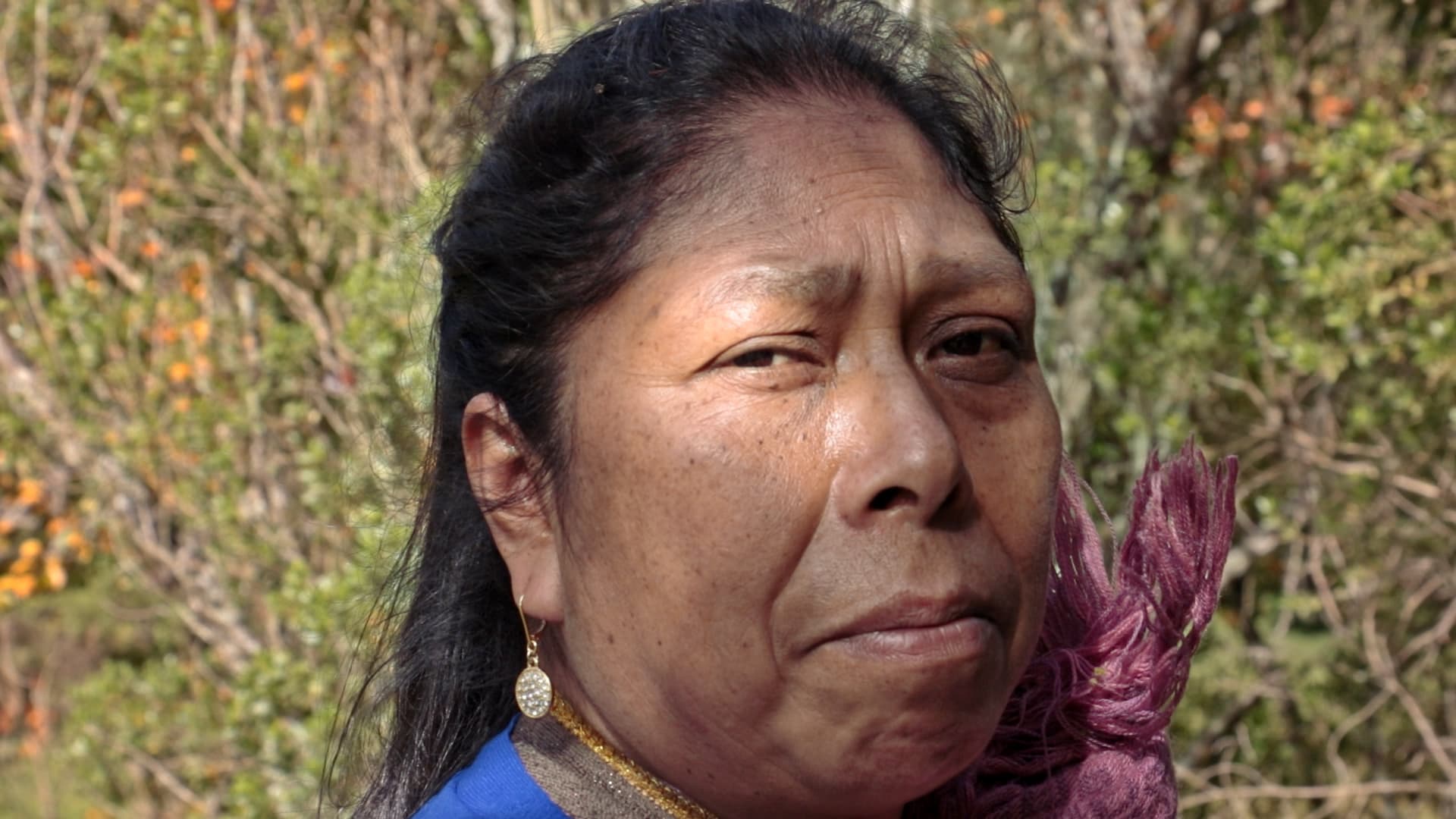 Frame from Vientre de luna film