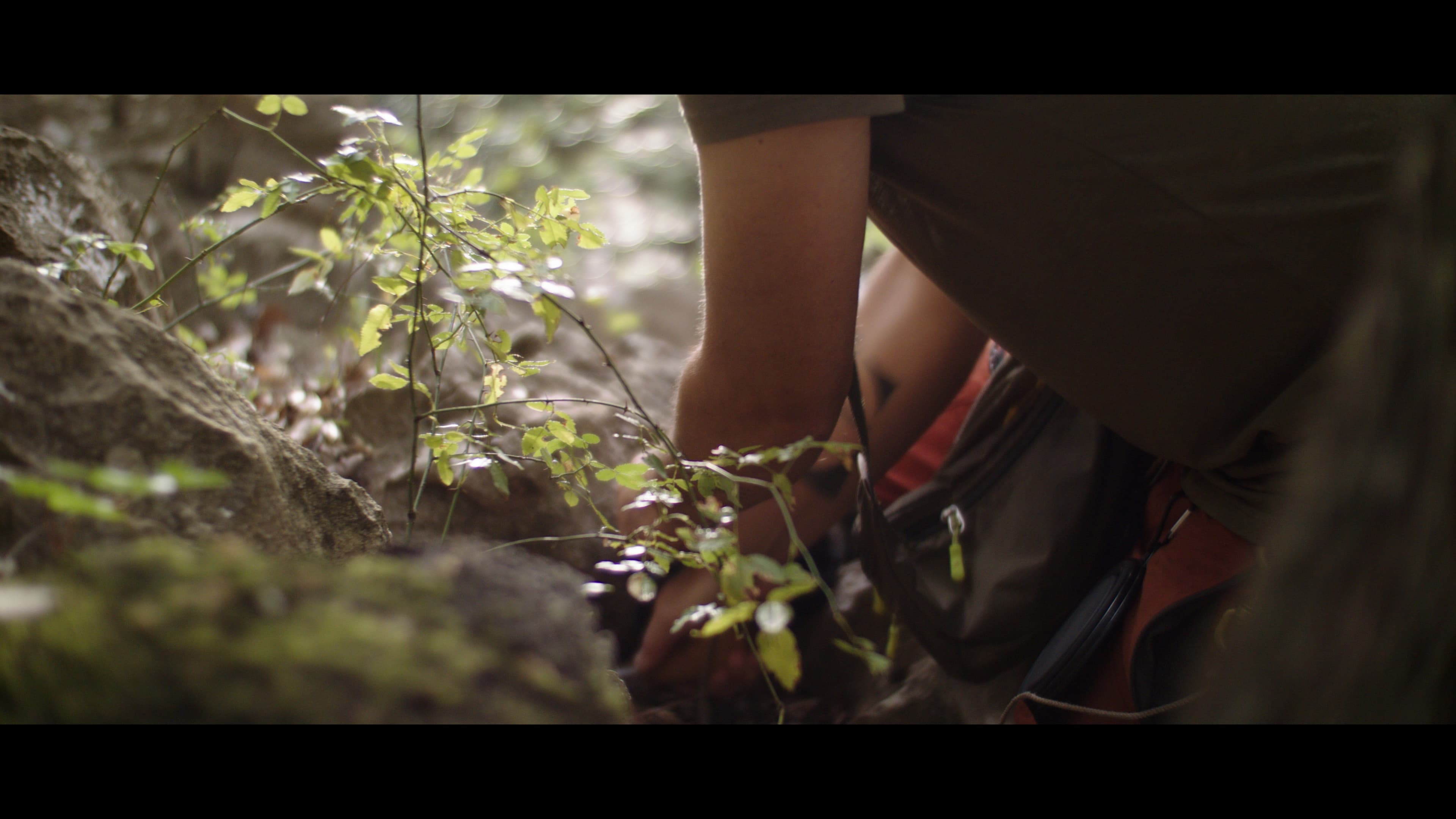 the scent of the ground film card