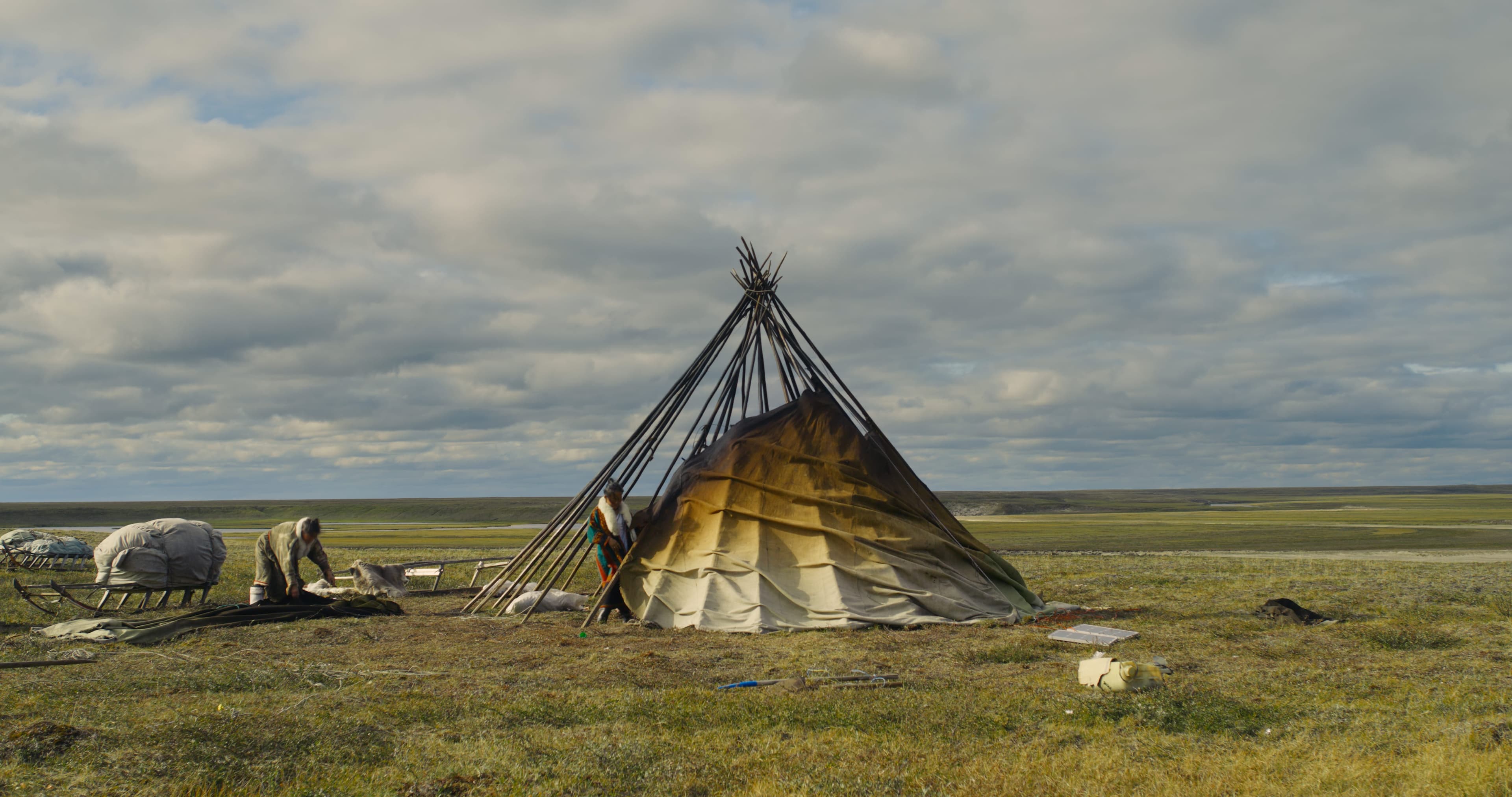 IL VENTO NON HA CODA film card