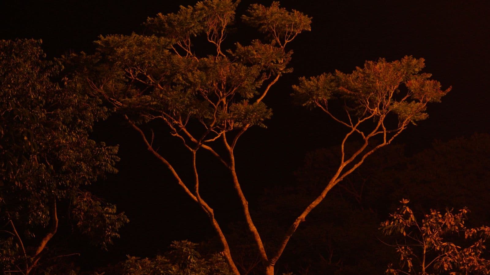 Frame from ZONA WAO film