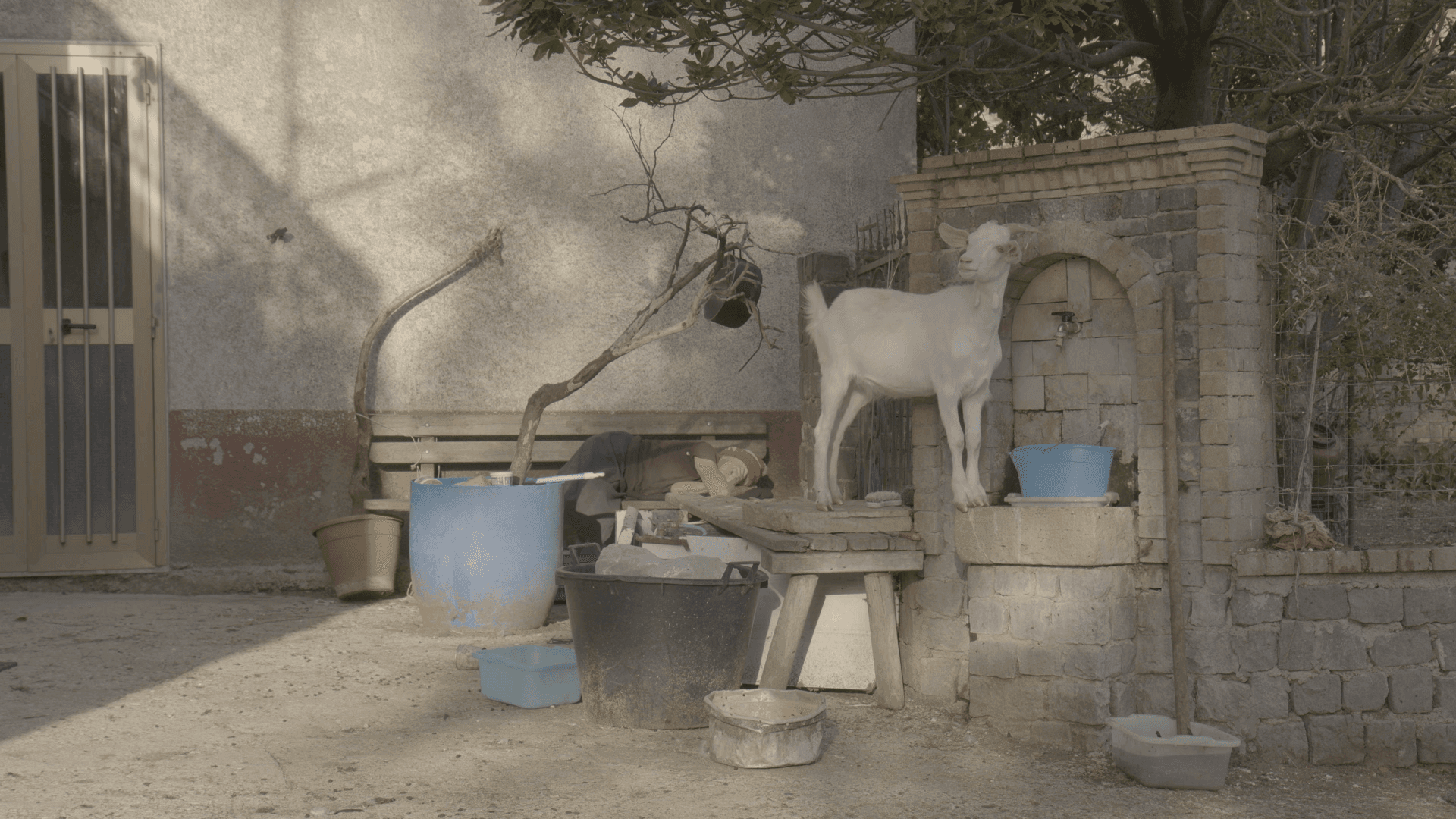 Frame from Gli ultimi film