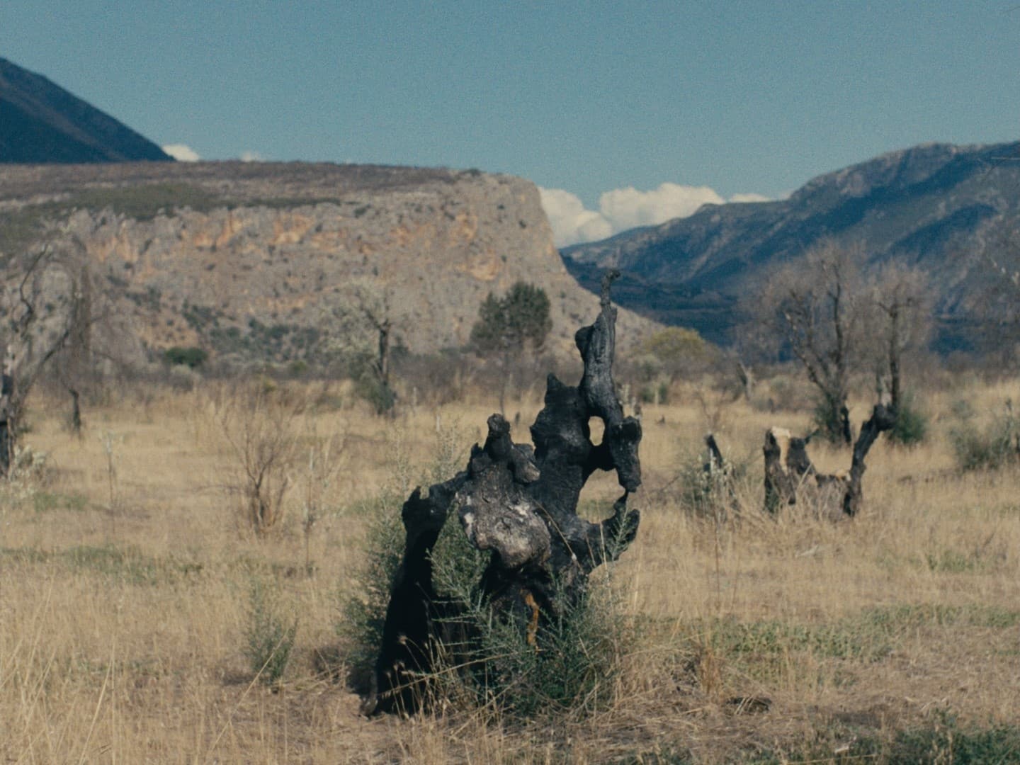 Frame from Elysian Fields film