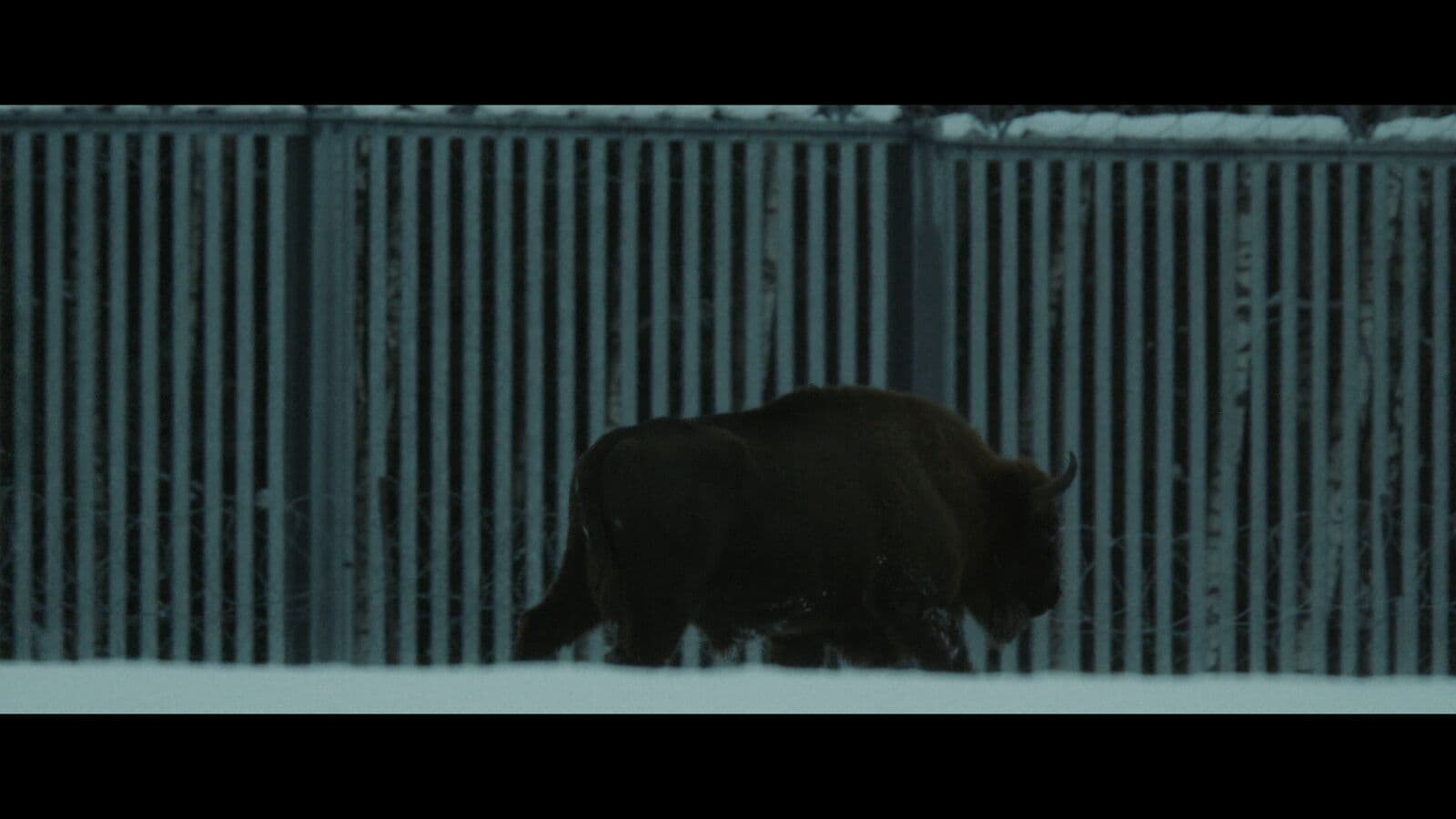 Frame from Bloodline film