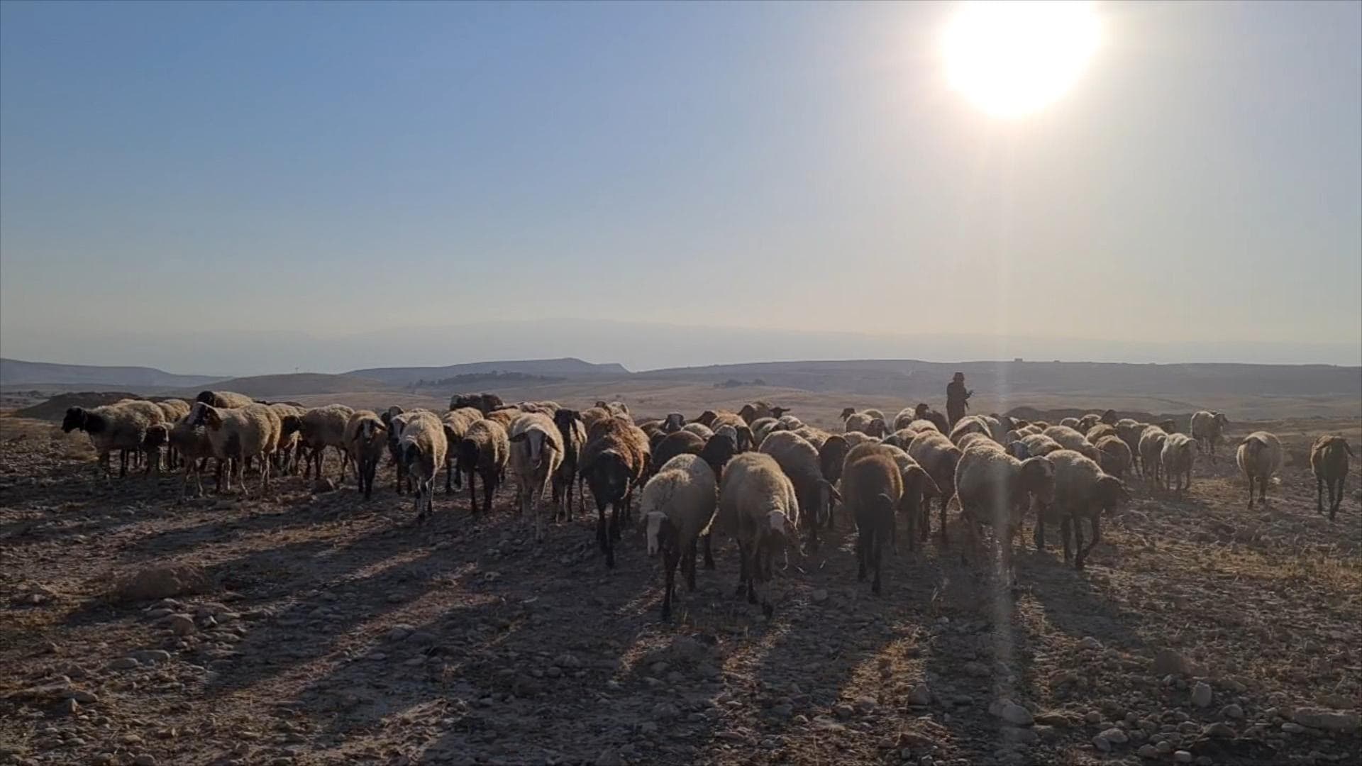 Frame from THE SHEPHERD’S KEEPER film