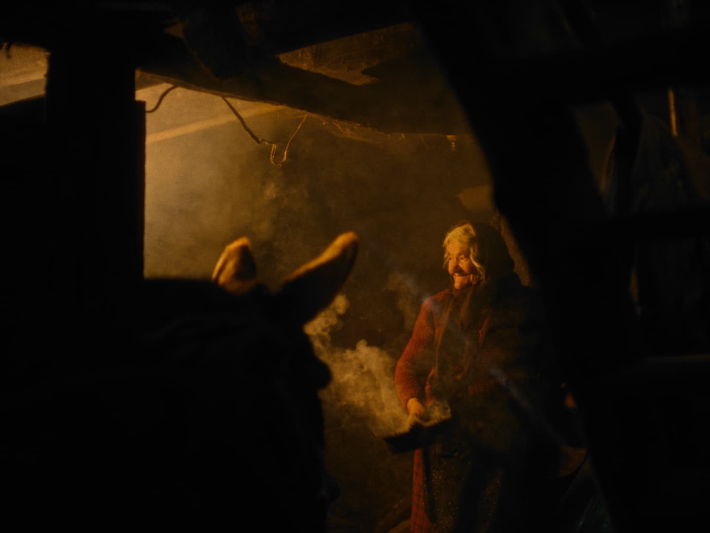 Frame from SILENT OBSERVERS film