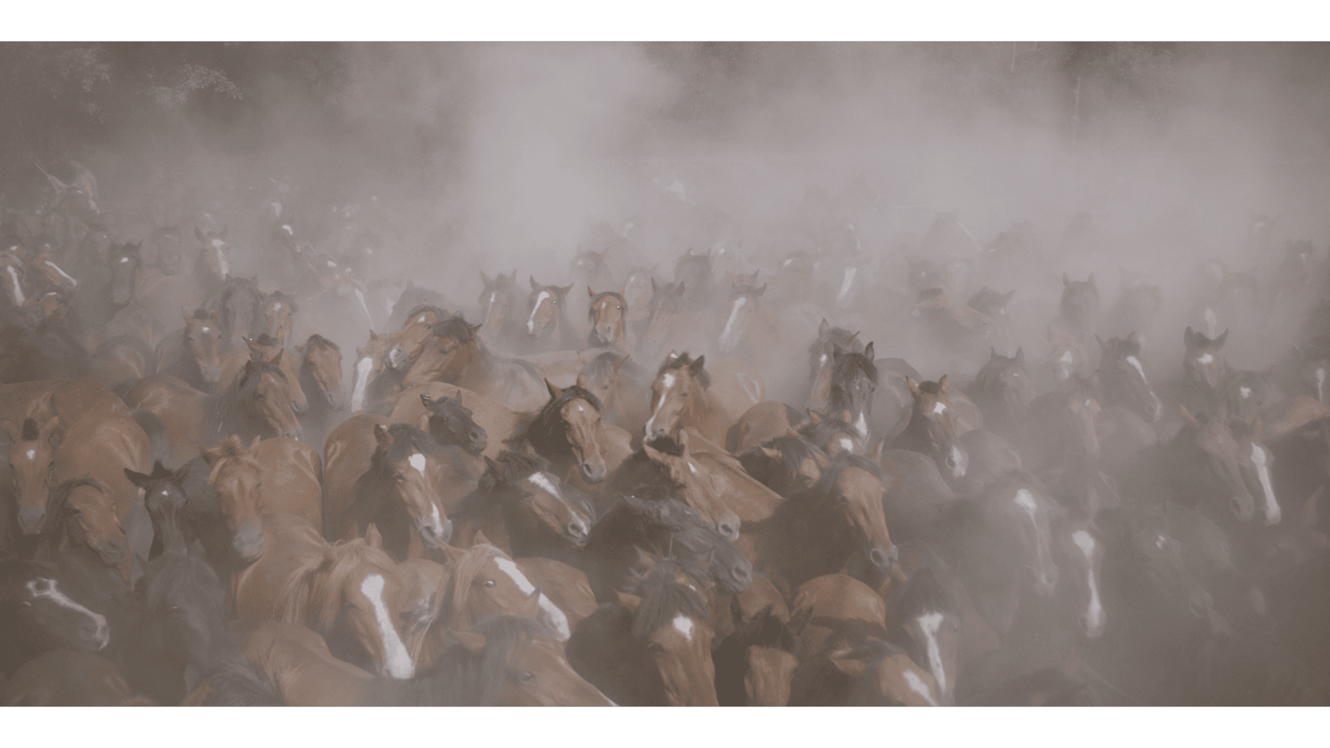 Frame from Only on Earth film