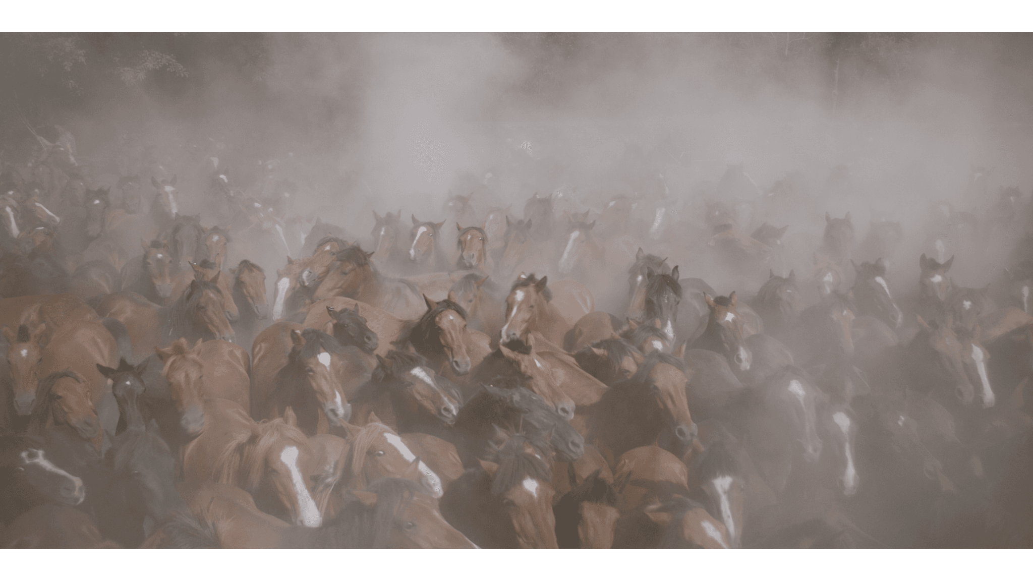 SOLO SULLA TERRA film card