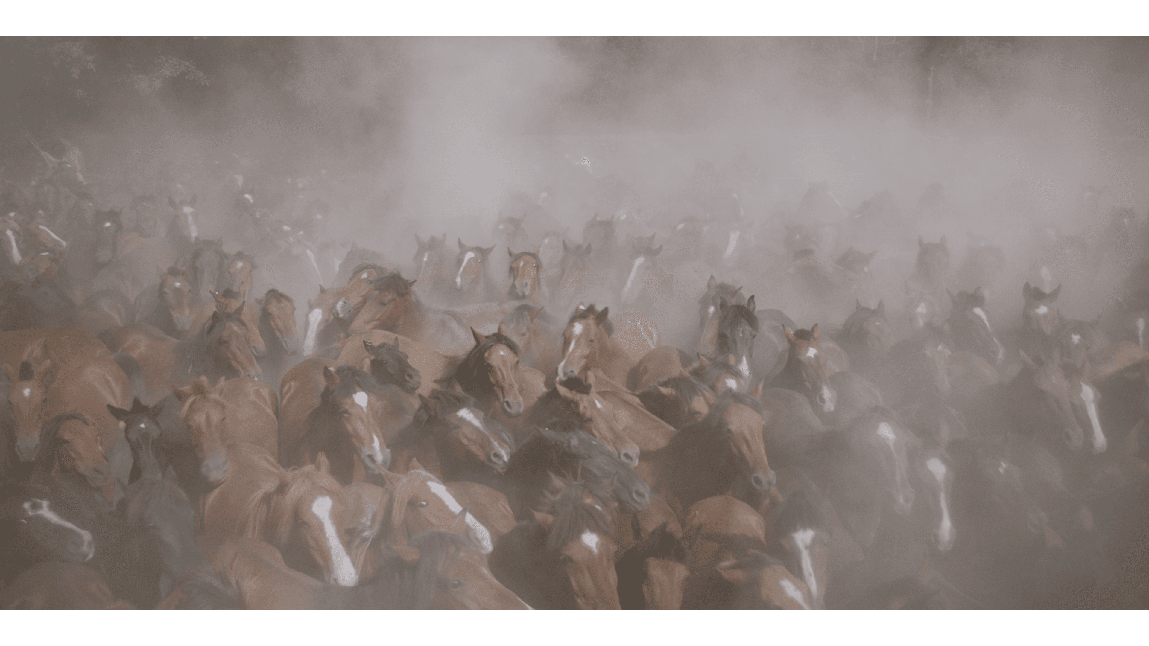 SOLO SULLA TERRA film card