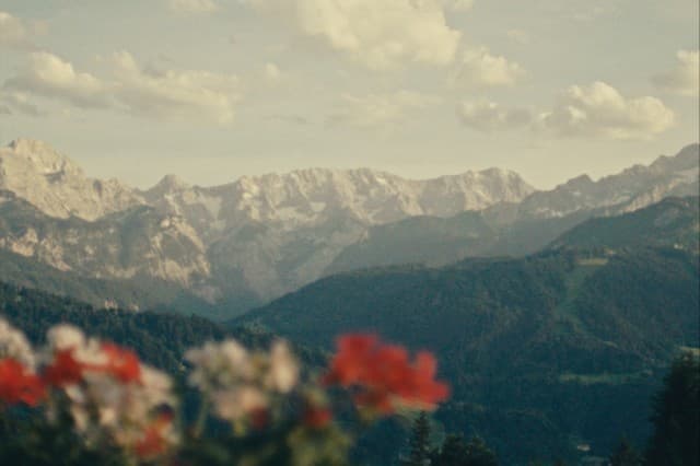 Frame from Grimms Albtraum film