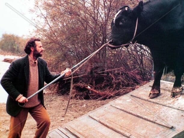 Frame from IL TORO film