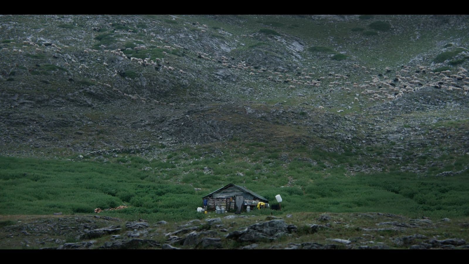 Frame from THE MOUNTAIN WON’T MOVE film