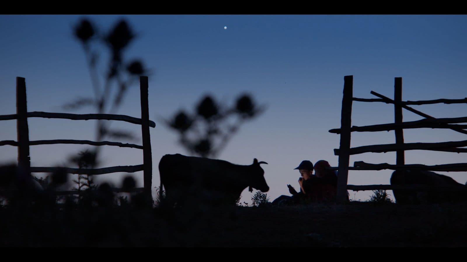 LA MONTAGNA NON SI MUOVERÀ film card