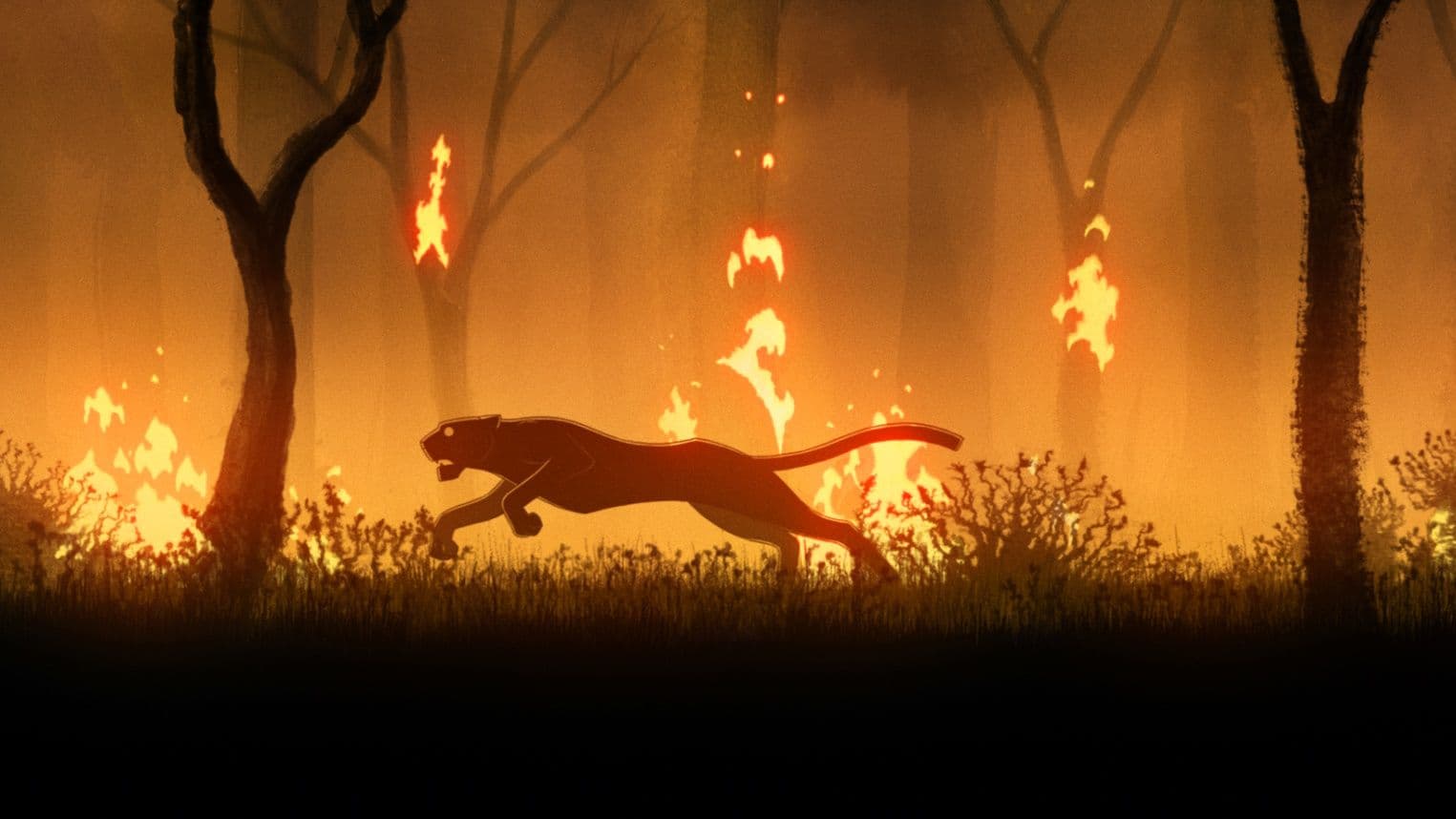 Frame from LA LÉGENDE DU COLIBRI film