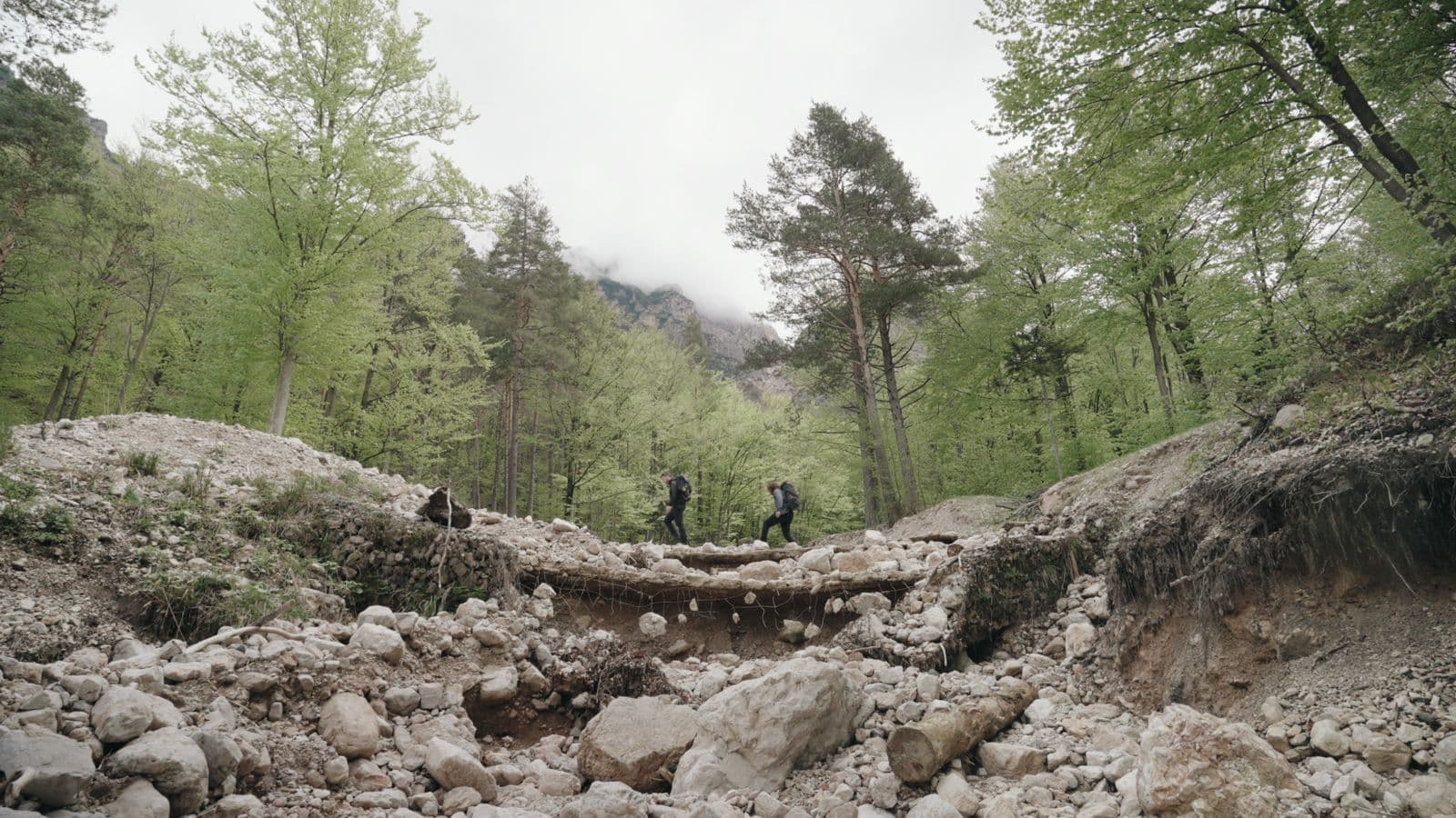 Frame from IL CAMMINO film