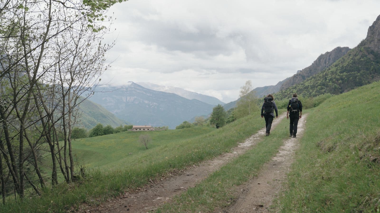 Frame from IL CAMMINO film