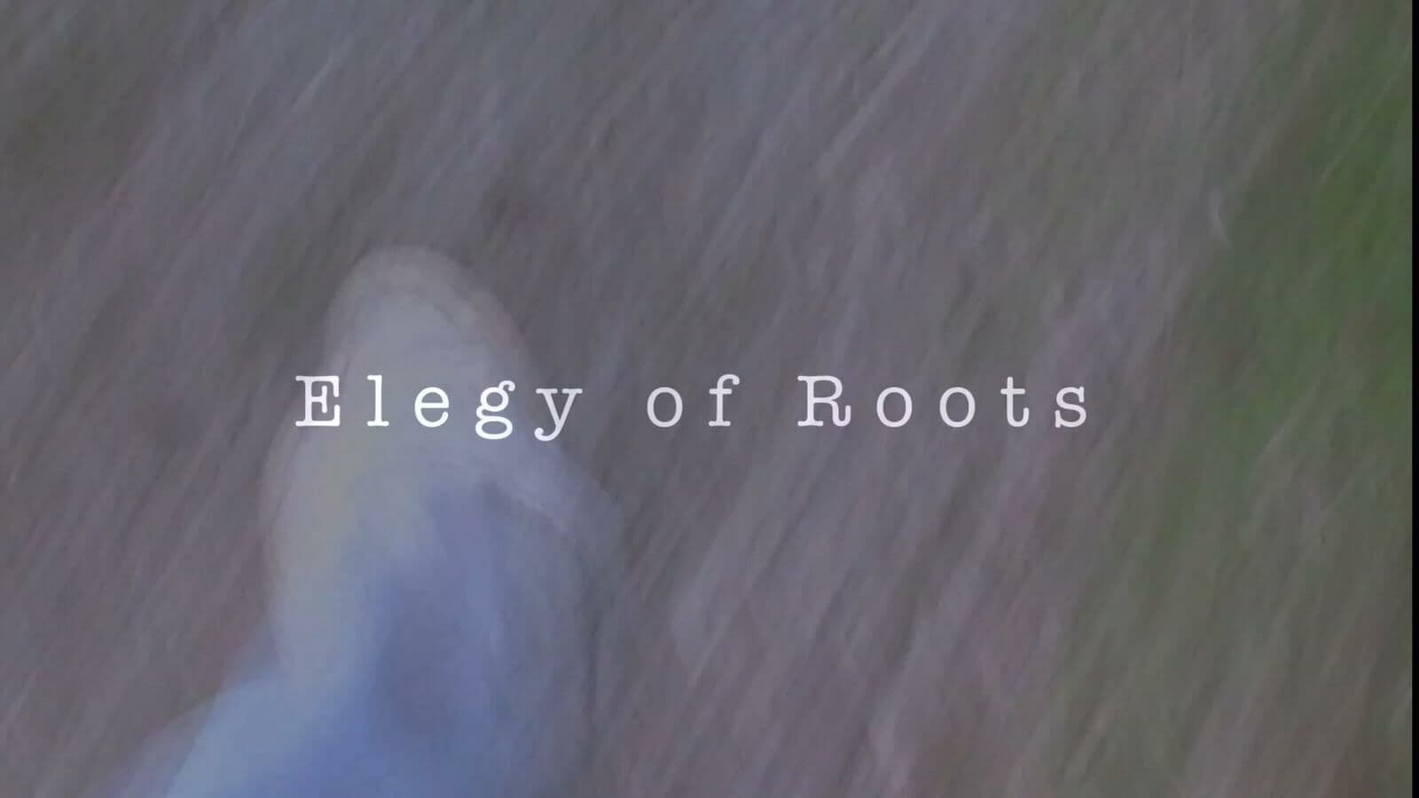 Frame from ELEGY OF ROOTS film
