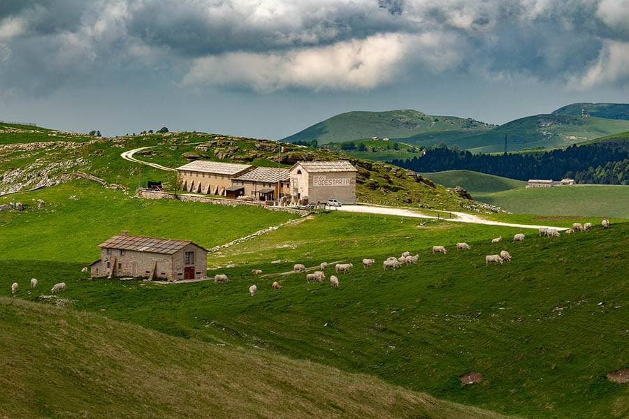 photo from Rifugio Podestaria