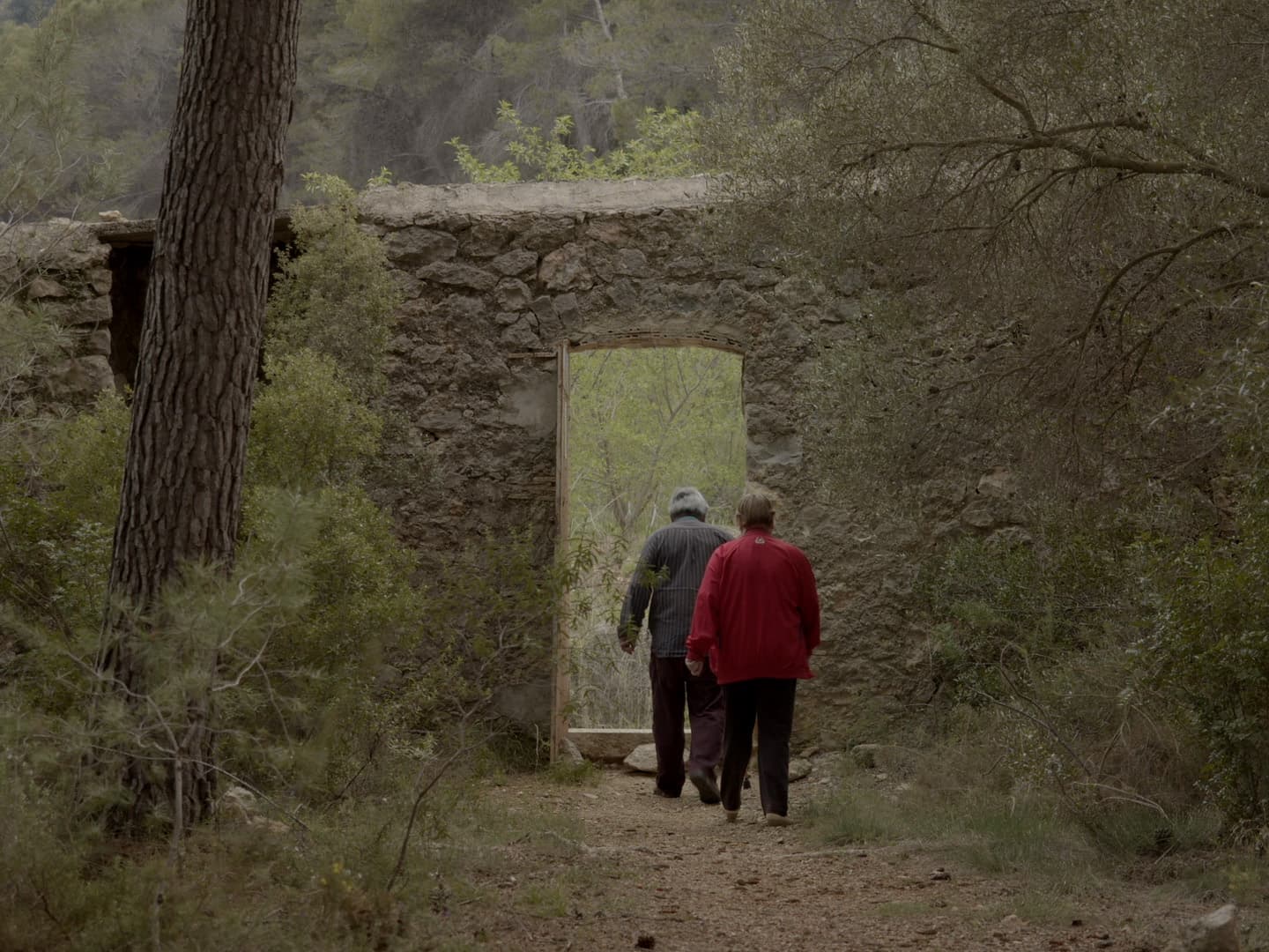 Frame from LA MURAILLE film